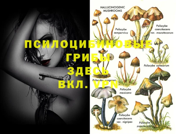 скорость Алексин