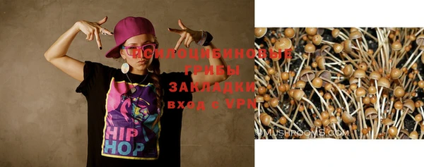 скорость Алексин